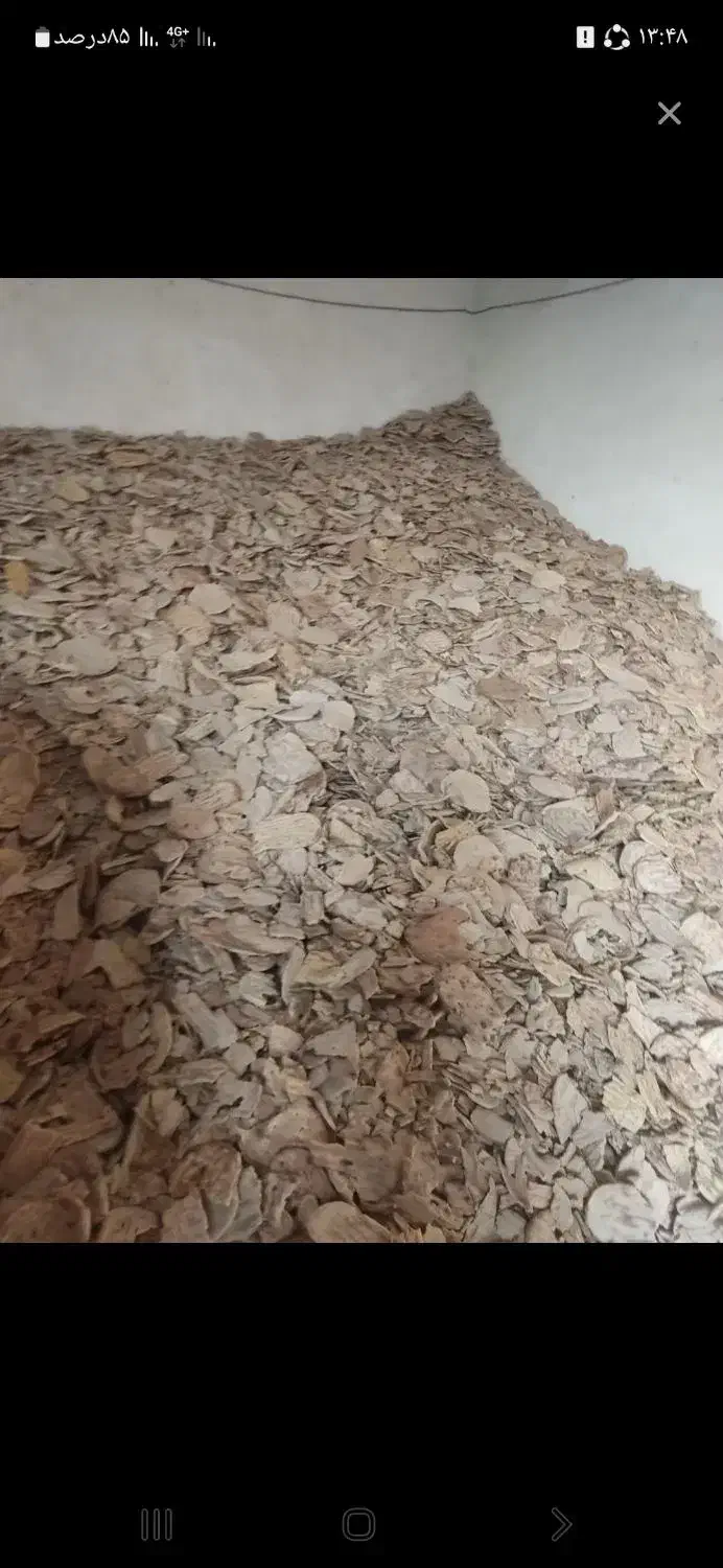 نون خشک دامی|لوازم جانبی حیوانات|مشهد, فاطمیه|دیوار