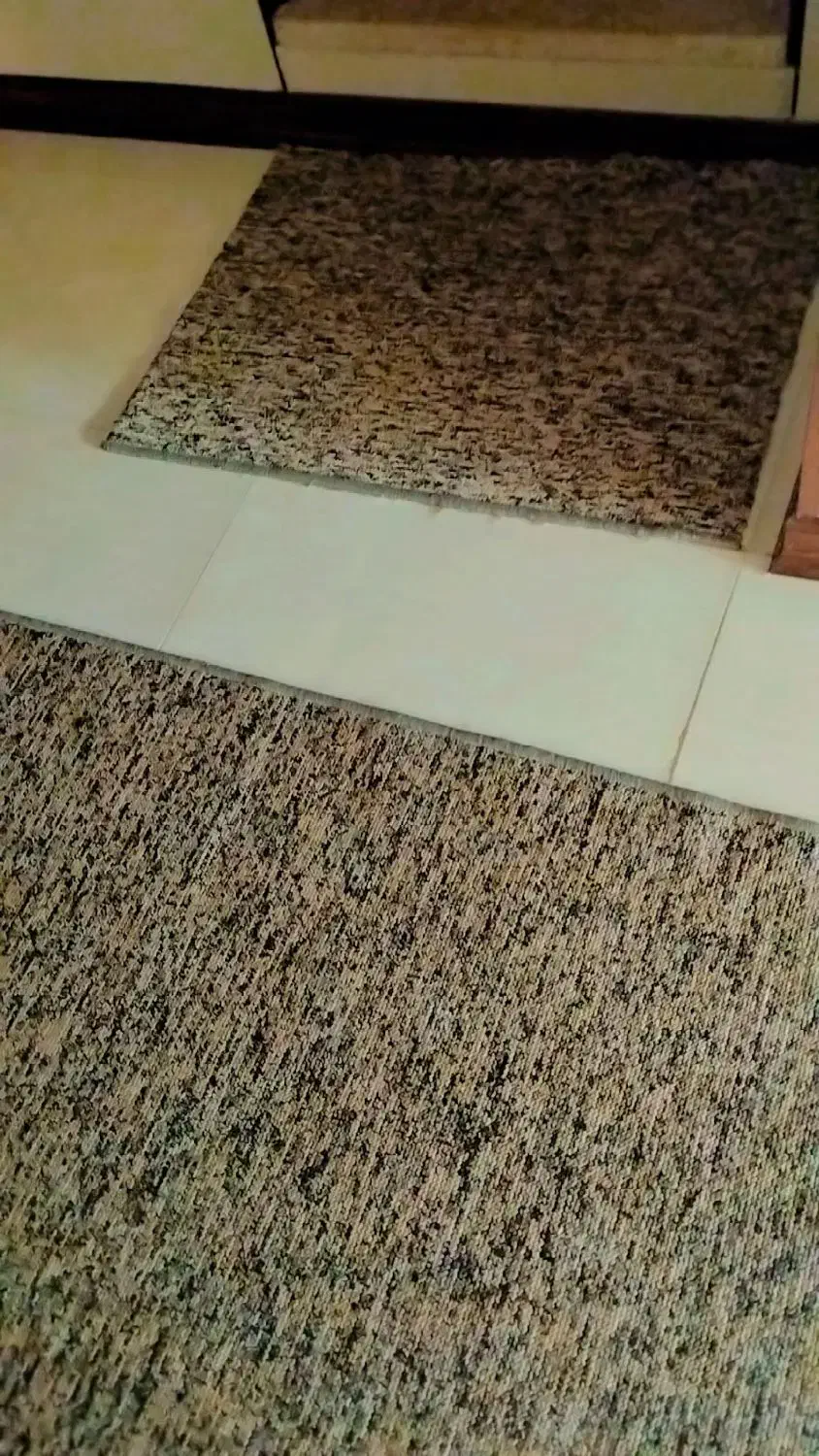 موکت سالم ودرحدنو پالاز|موکت|فردیس, قریشی|دیوار