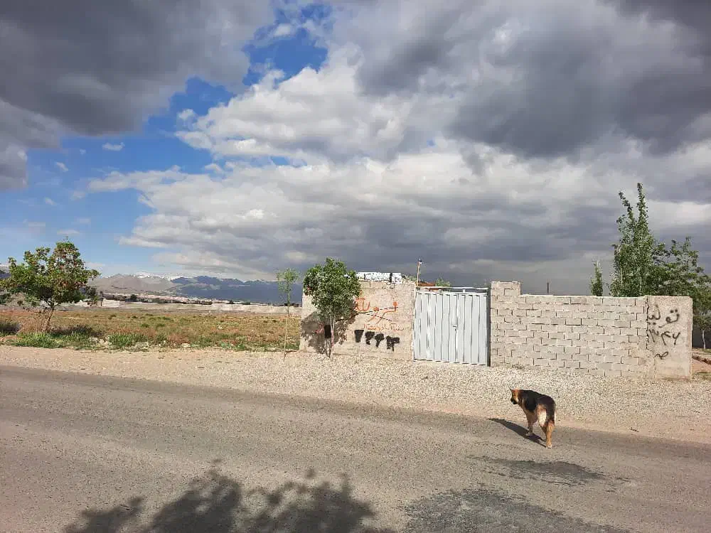 باغچه ۸۰۰ متری سنددار بر اصلی طهاطر|فروش زمین و ملک کلنگی|رامجین, |دیوار