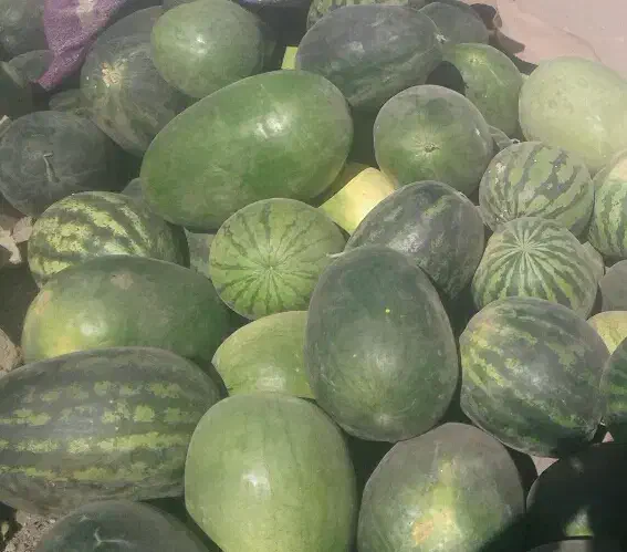 هندوانه دیم|خوردنی و آشامیدنی|نوده انقلاب, |دیوار