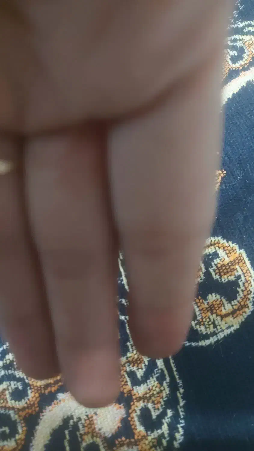 کیف مدارک گمشده|اشیا|کرباسک, |دیوار