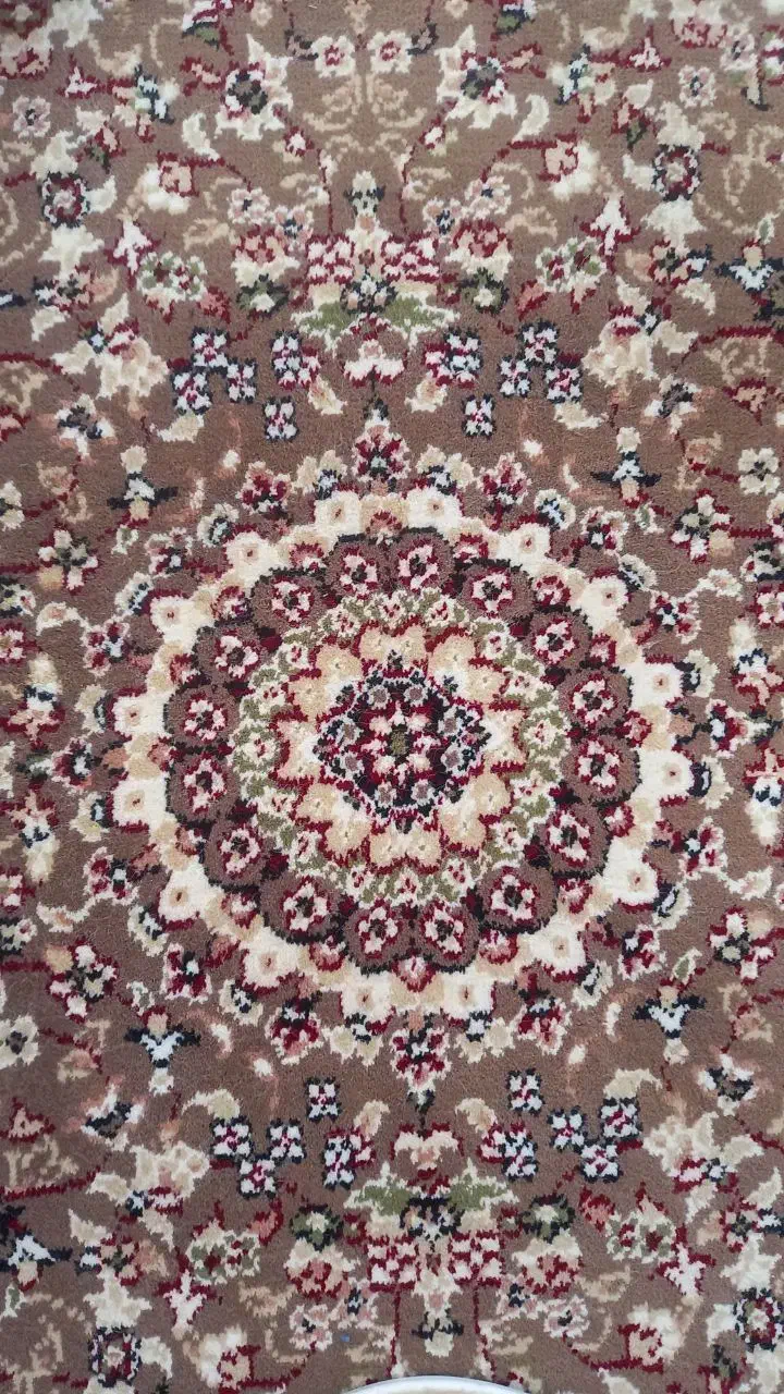 دو عدد پشتی تراکم بالا|پشتی|سبزوار, ابارش|دیوار