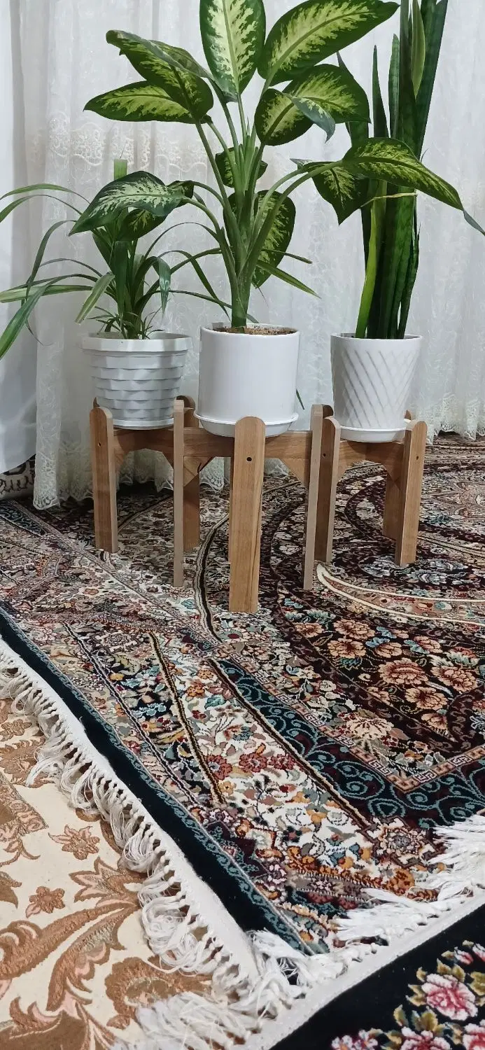 پایه گل|گل و گیاه طبیعی|نیشابور, طالقانی|دیوار