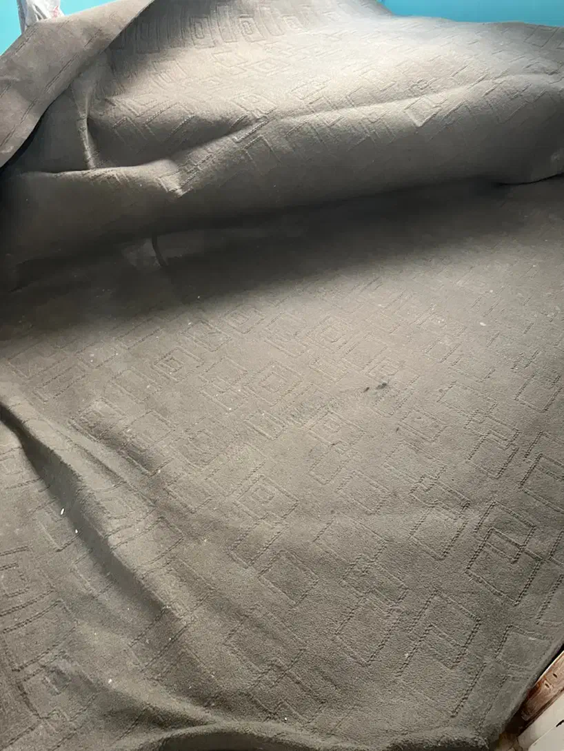 موکت|موکت|بندر کنگان, |دیوار