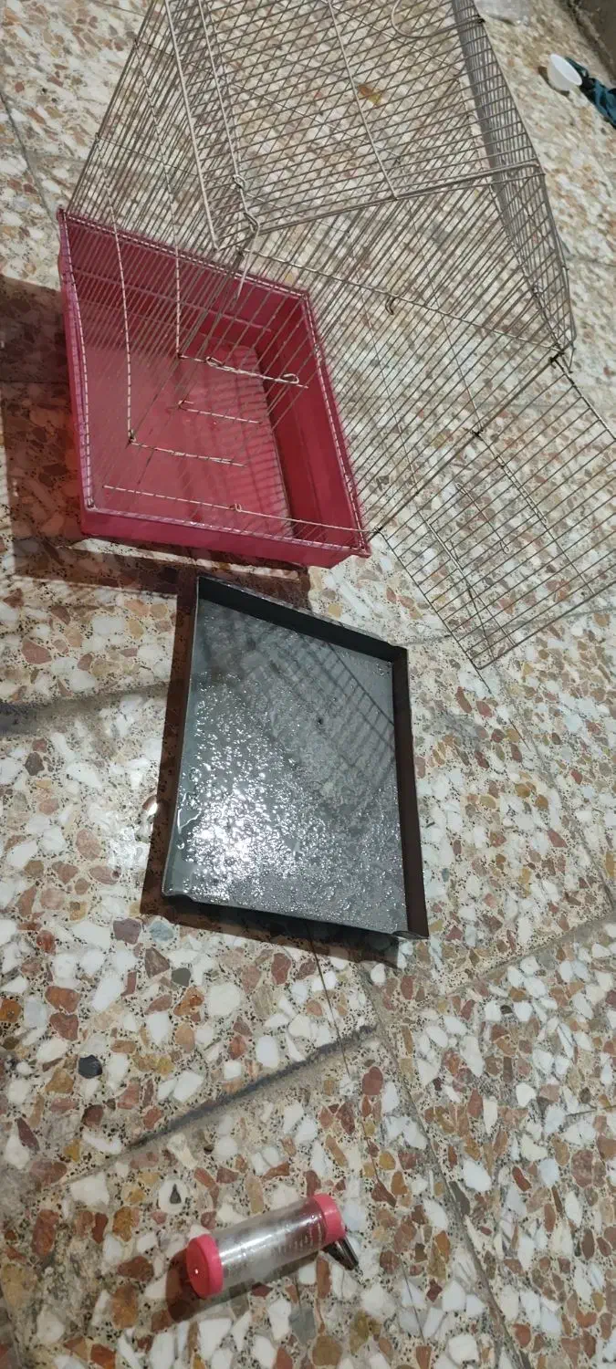 قفس|لوازم جانبی حیوانات|اندیمشک, |دیوار