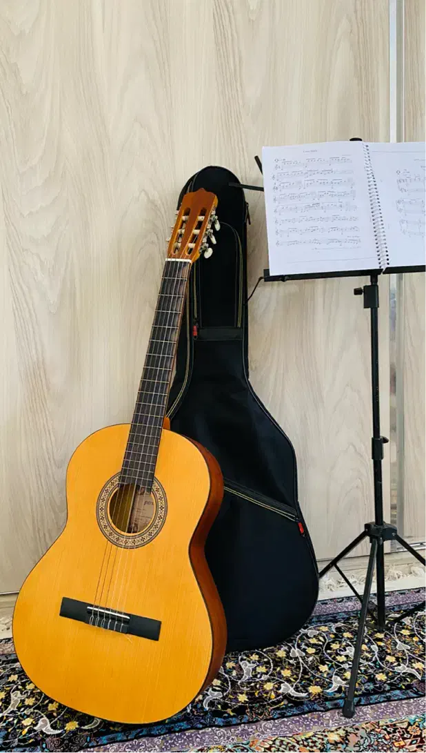 گیتار پارسی مدل m2|گیتار، بیس، امپلیفایر|مشگین شهر, |دیوار