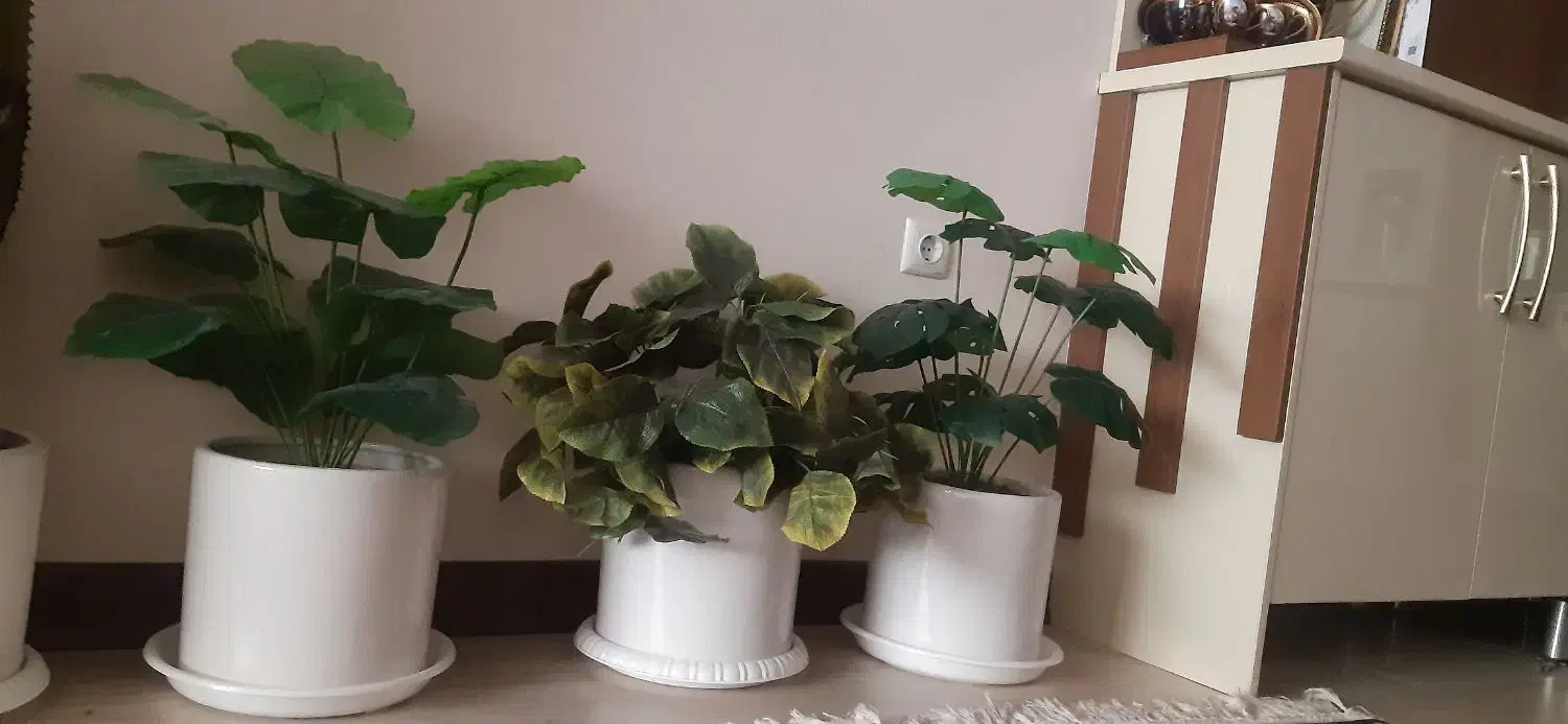 گل و گلدان مصنوعی|گل مصنوعی|قم, انصار‌الحسین|دیوار