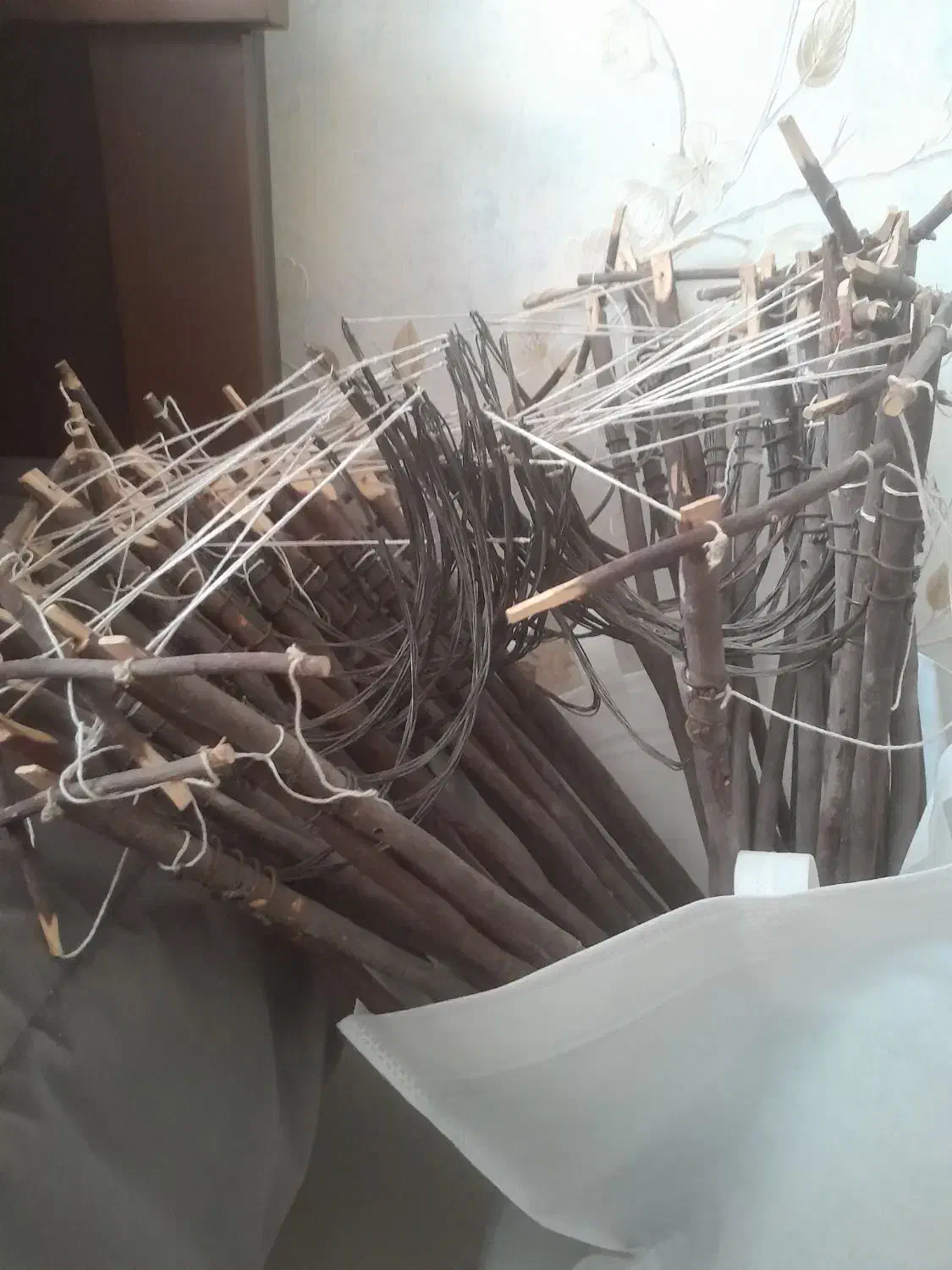 تله|لوازم جانبی حیوانات|شاهینشهر, شهرک گلدیس|دیوار