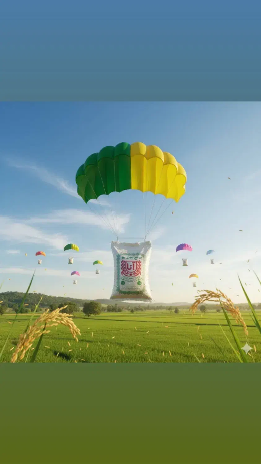 برنج عنبربو اعلا آنا|خوردنی و آشامیدنی|تهران, کیانشهر|دیوار