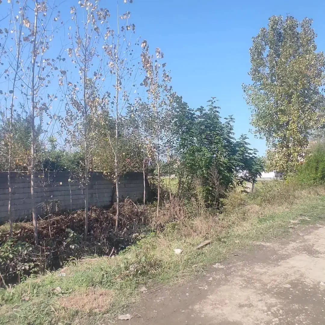 فروش خانه ۱۵۰۰ متر ۱۳۰۰متر سند دارد|فروش خانه و ویلا|ماسال, |دیوار