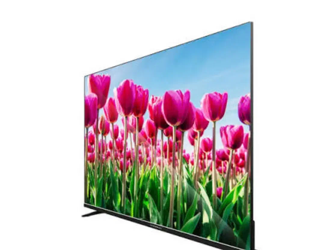 ال ای دی دوو55پلم|تلویزیون و پروژکتور|شیراز, عفیفآباد|دیوار