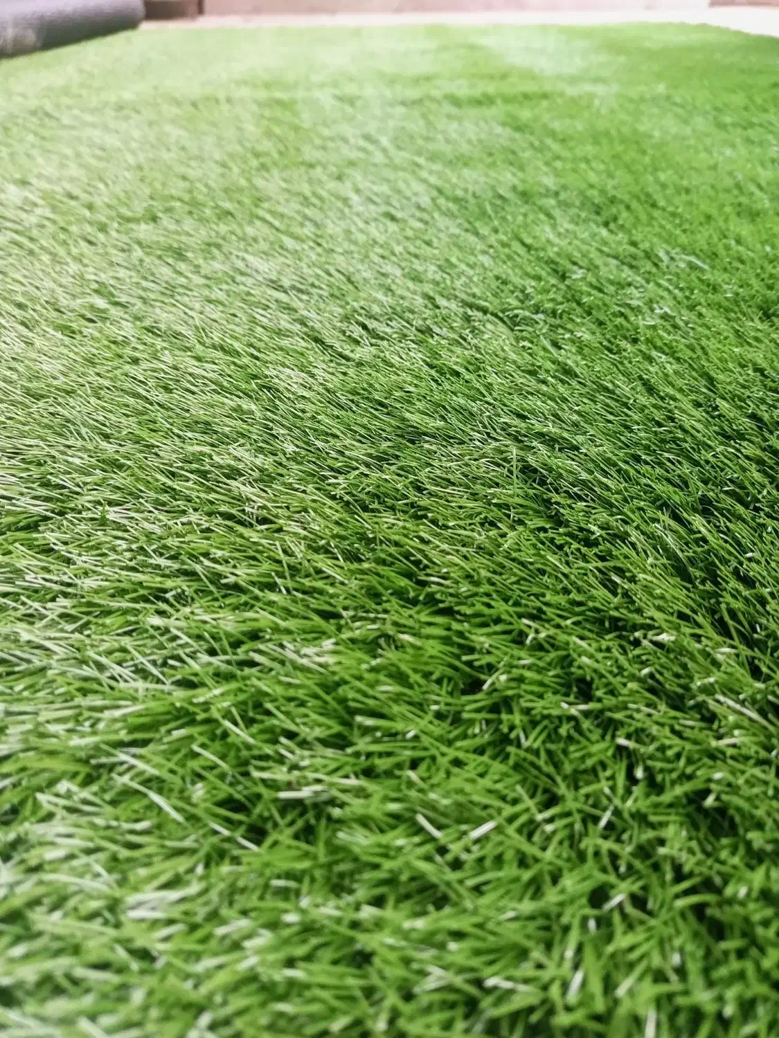 چمن مصنوعی تراکم بالا|گل مصنوعی|مشهد, رضاشهر|دیوار