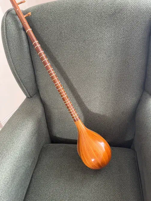 سه تاربا مهر یاور|سازهای سنتی|کرمانشاه, |دیوار