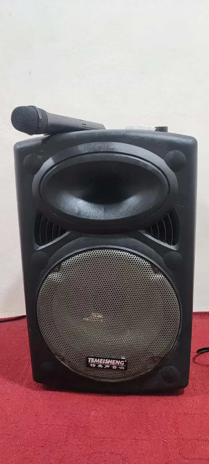 باند اکتیو چهارده اینچی (اسپیکر)|سیستم صوتی خانگی|خمیر, |دیوار