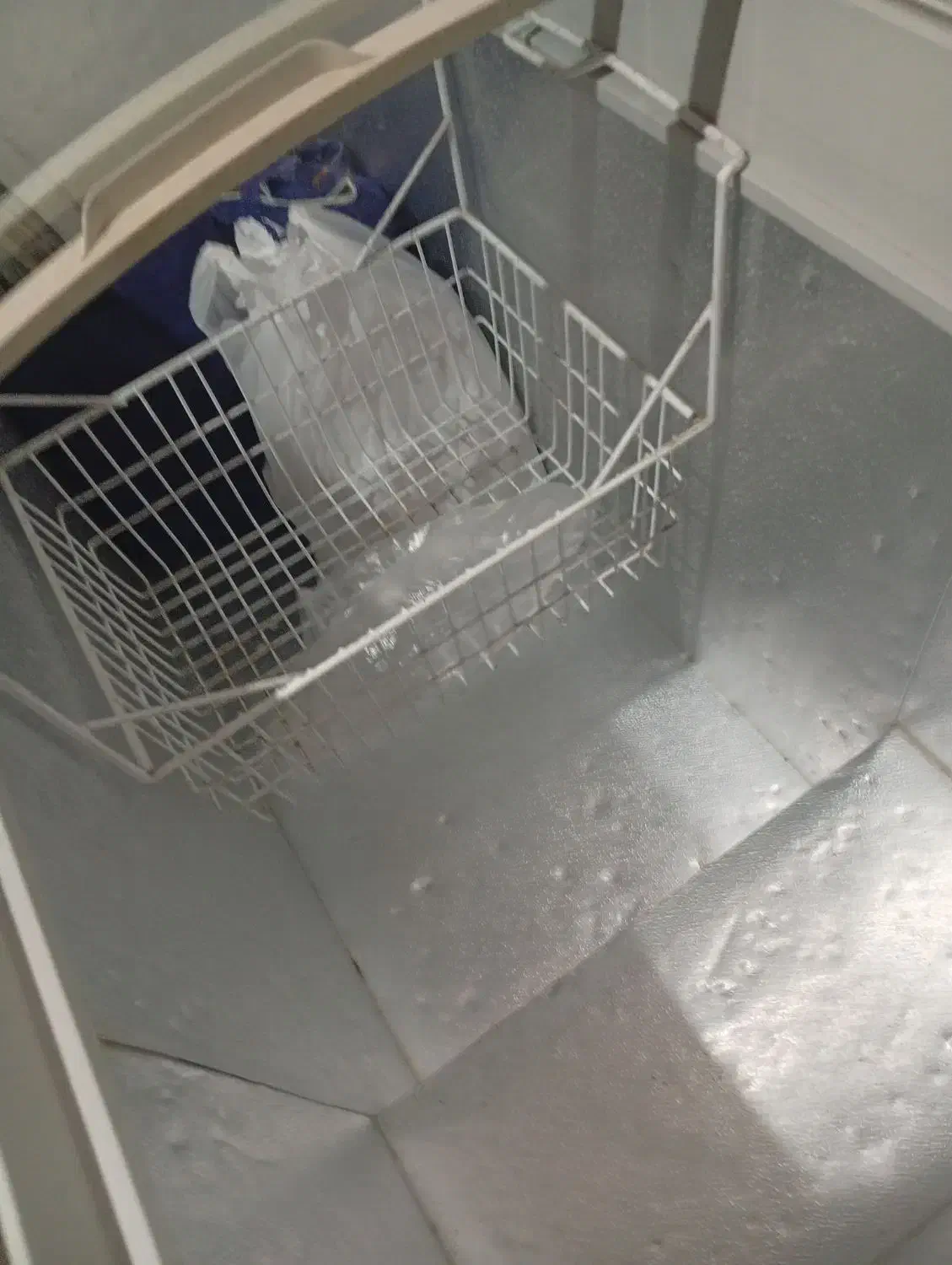 فریزر|یخچال و فریزر|رودسر, |دیوار