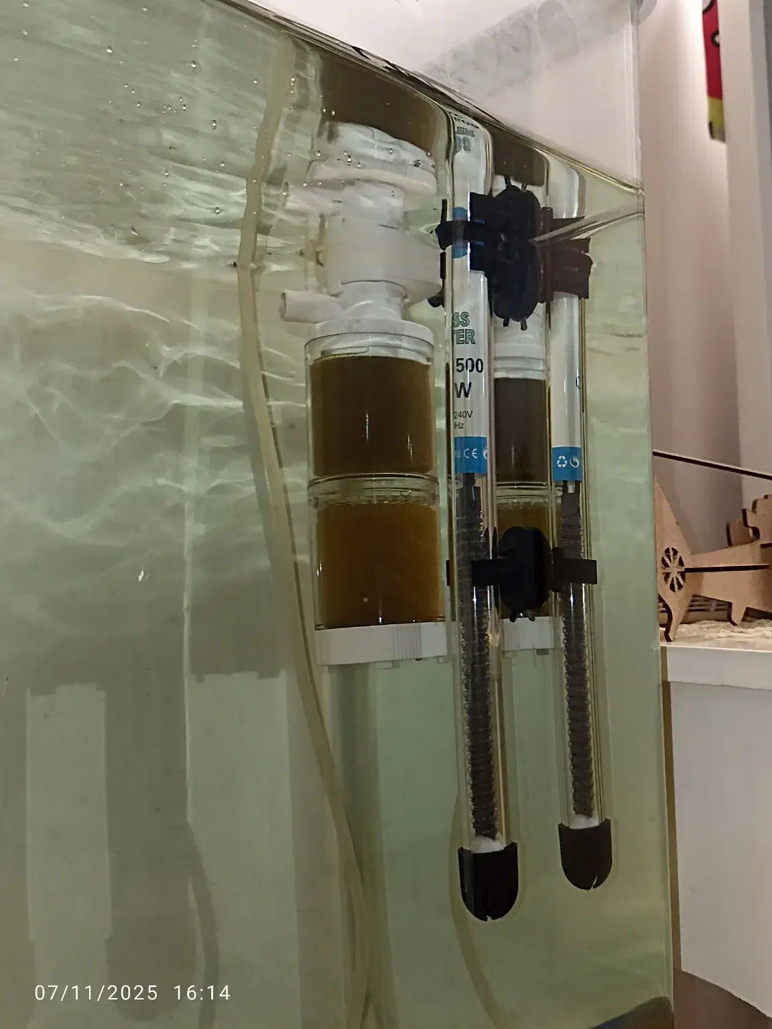 اکواریوم شیشه خم به همراه ماهی و متعلقات|ماهی|تهران, کوثر|دیوار