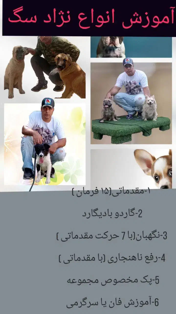 آموزش  سگ|خدمات آموزشی|کرج, باغستان|دیوار