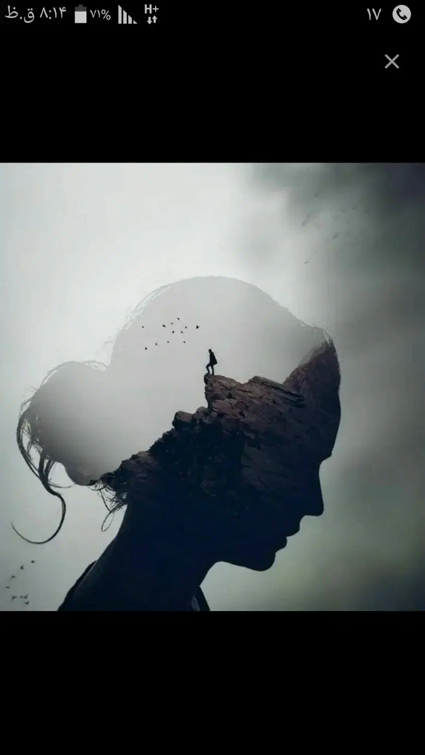 ازدواج|فعالیت داوطلبانه|تهران, مینای شمالی (مخبر)|دیوار