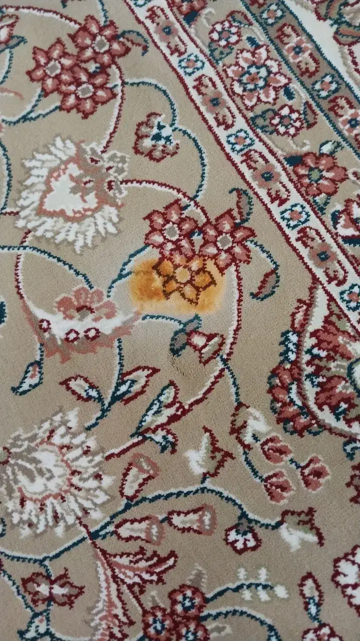 روفوگری فرش دستبافت و فرش ماشینی|خدمات پیشه و مهارت|سبزوار, فرهنگیان|دیوار