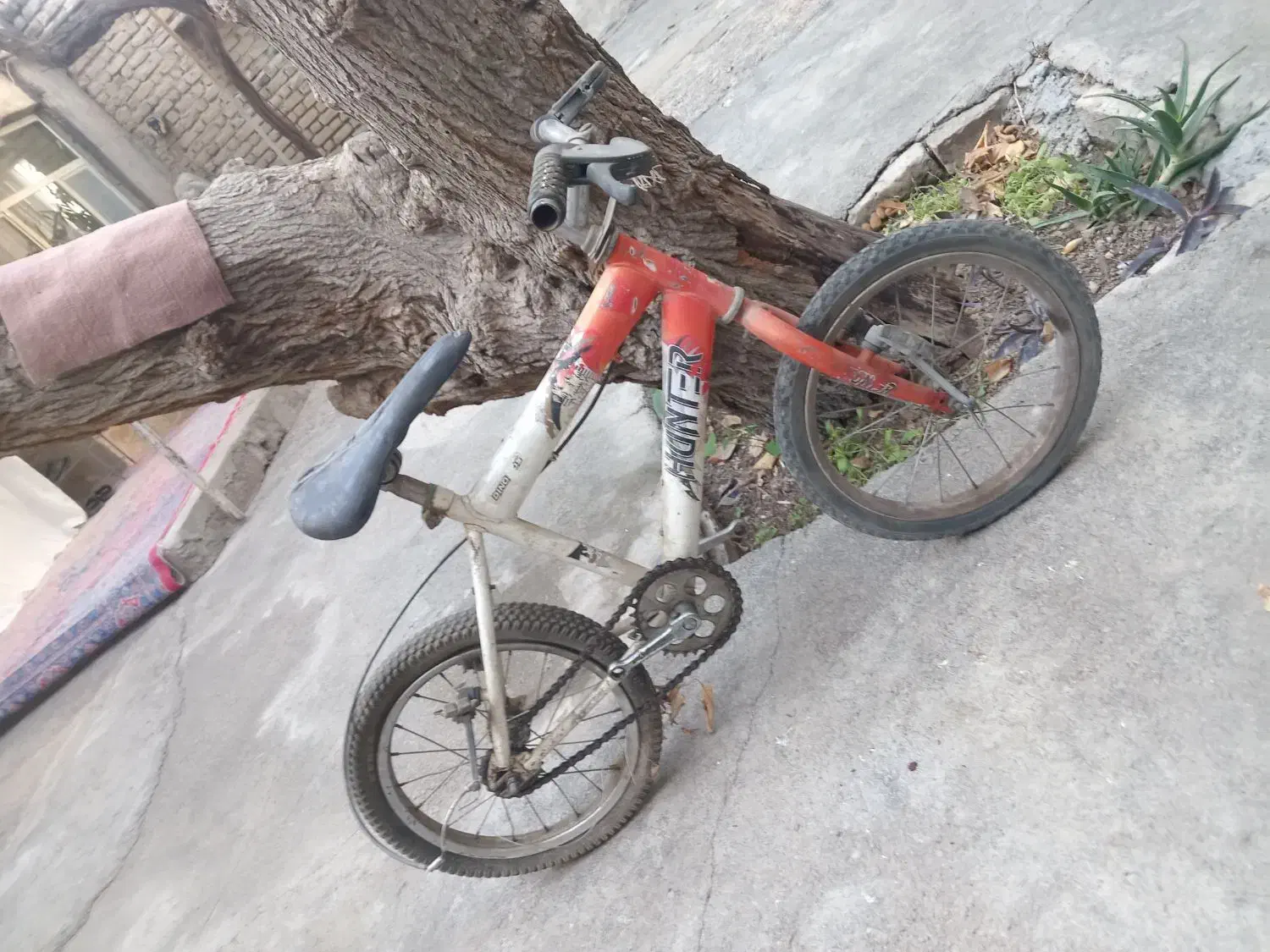 دوچرخه|دوچرخه، اسکیت، اسکوتر|بجنورد, |دیوار