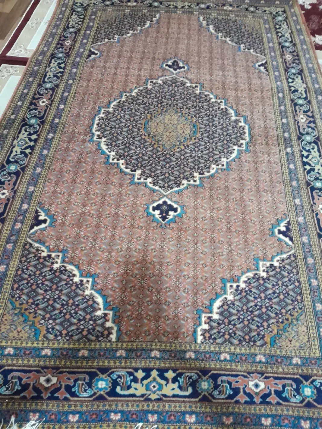 فرش دستباف|فرش|اردبیل, |دیوار