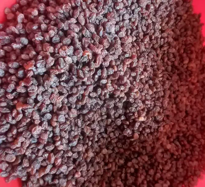 کشمش مویز ، آفتابی و تیزابی ، شیره انگور ، آبغوره|خوردنی و آشامیدنی|تهران, نیروی دریایی|دیوار