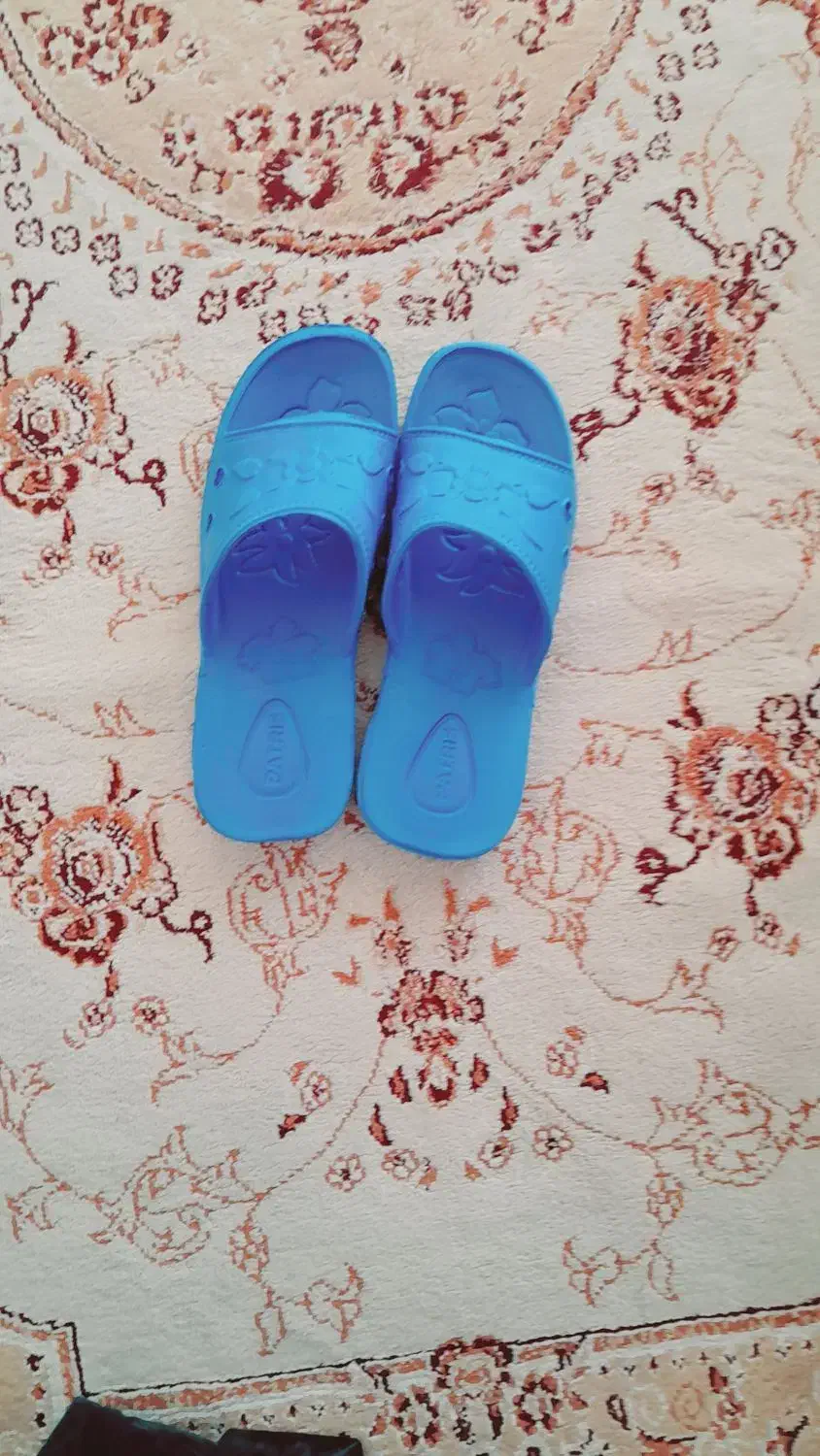 دمپایی نو|کیف، کفش، کمربند|لردگان, |دیوار