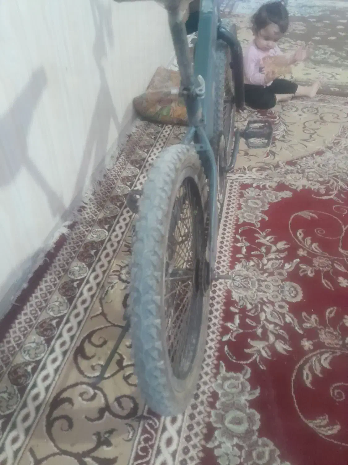 دوچرخه ۲۰حرفه ای|دوچرخه، اسکیت، اسکوتر|اهرم, |دیوار