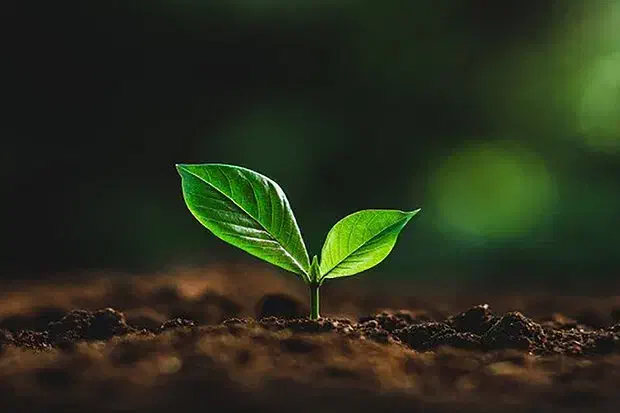 منشی خانم|استخدام درمانی، زیبایی، بهداشتی|فردیس, فردیس|دیوار