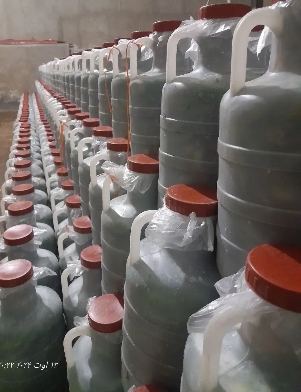 پخش خیارشور نول همدان|خوردنی و آشامیدنی|ملارد, |دیوار