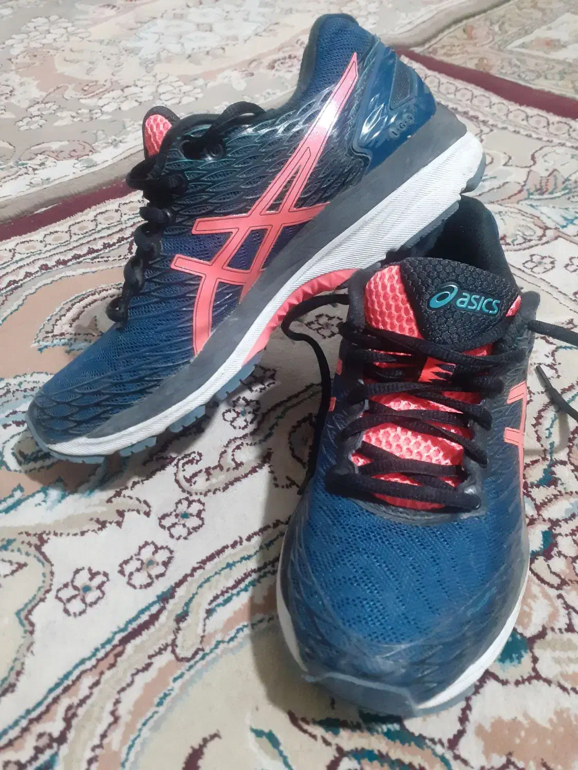 کفش|کیف، کفش، کمربند|اردبیل, |دیوار