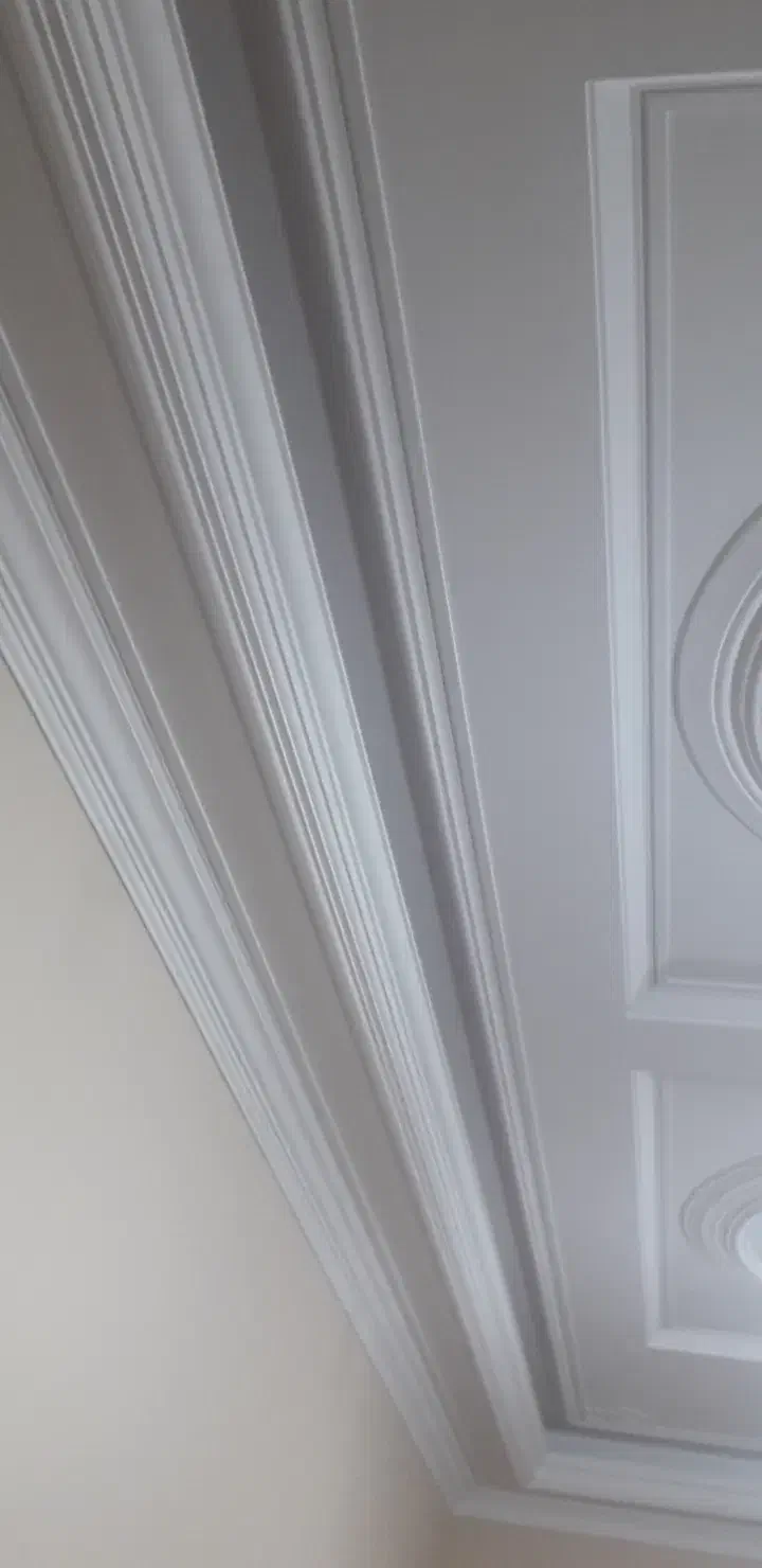 گچکاری و ابزار زنی|خدمات پیشه و مهارت|ابهر, |دیوار