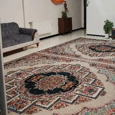 دوعدد فرش نه متری|فرش|ورامین, ورامین|دیوار