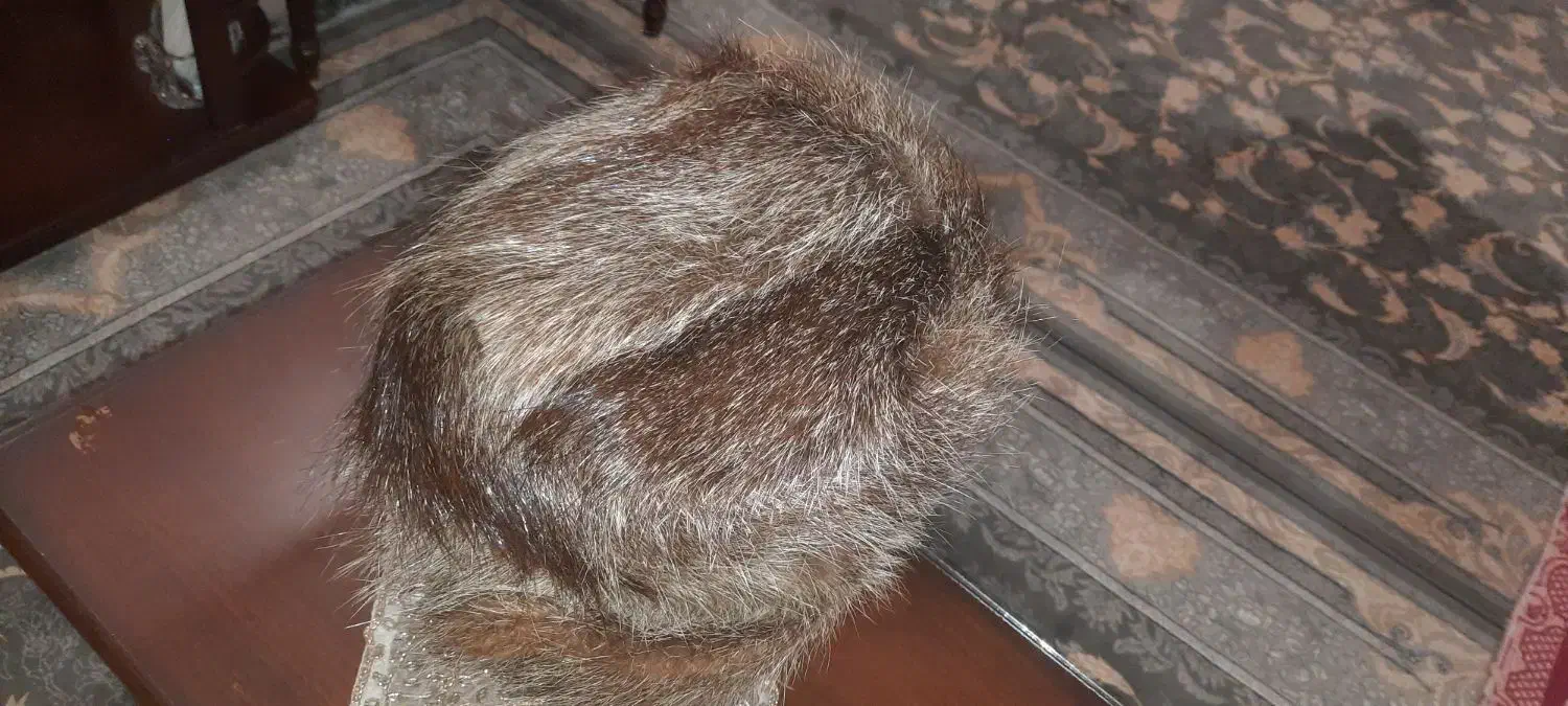 کلاه پوستی اصل|لباس|طرقبه, |دیوار