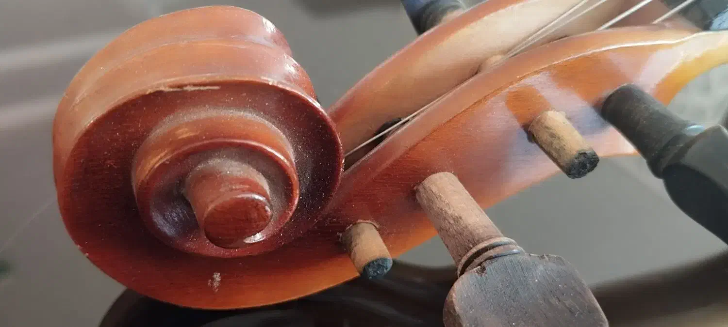 ویولن جوزپ گوارنری|ویولن|تبریز, |دیوار