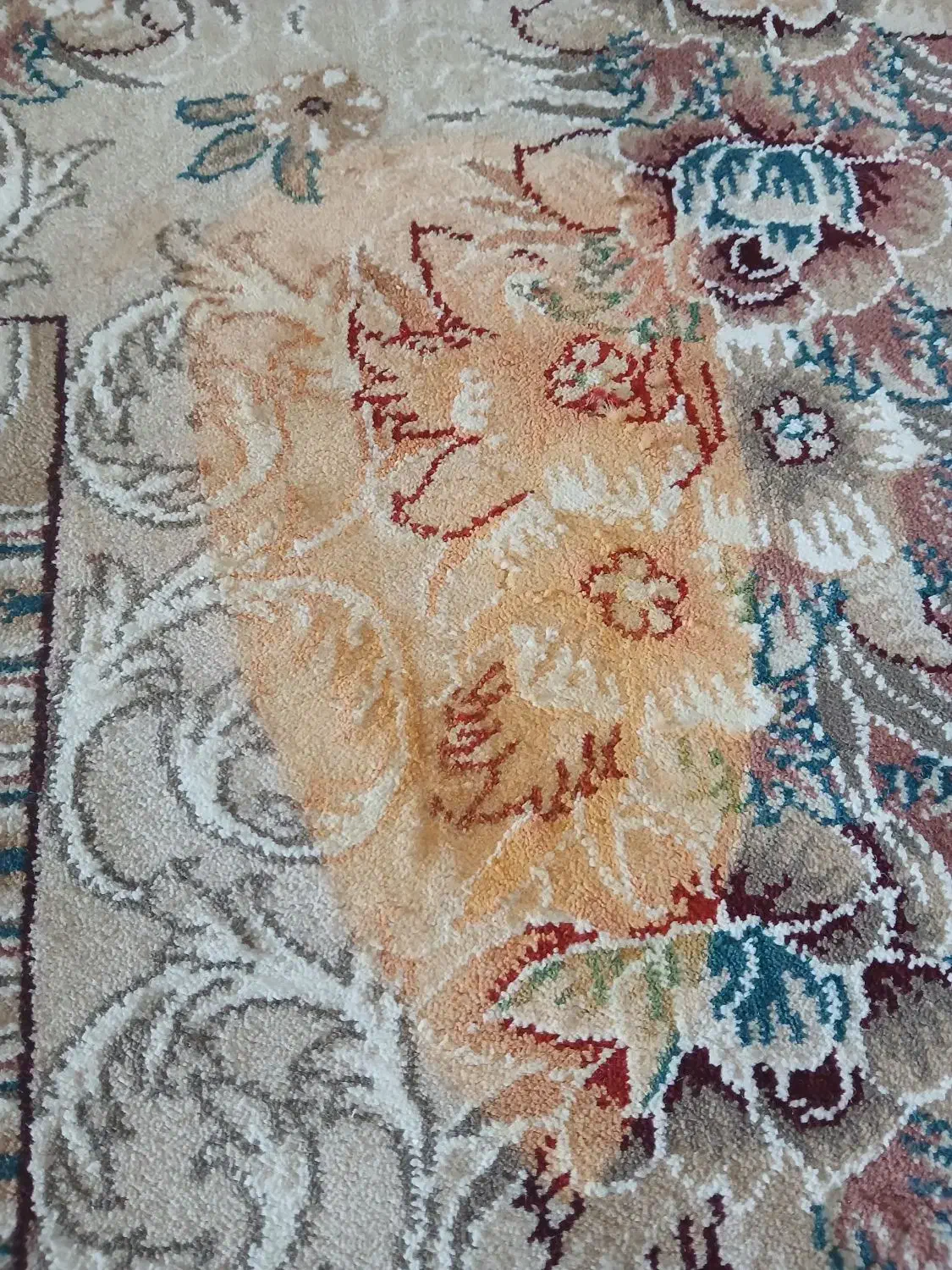 ۱۲متری|فرش|کردکوی, |دیوار