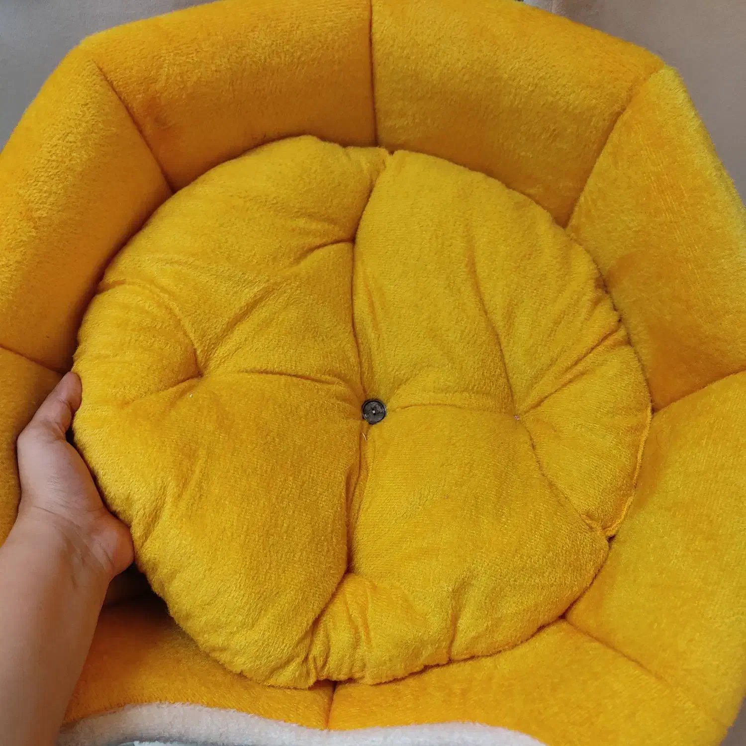 فروش خانه گربه سه کاربره|لوازم جانبی حیوانات|اندیشه, اندیشه فاز ۱|دیوار