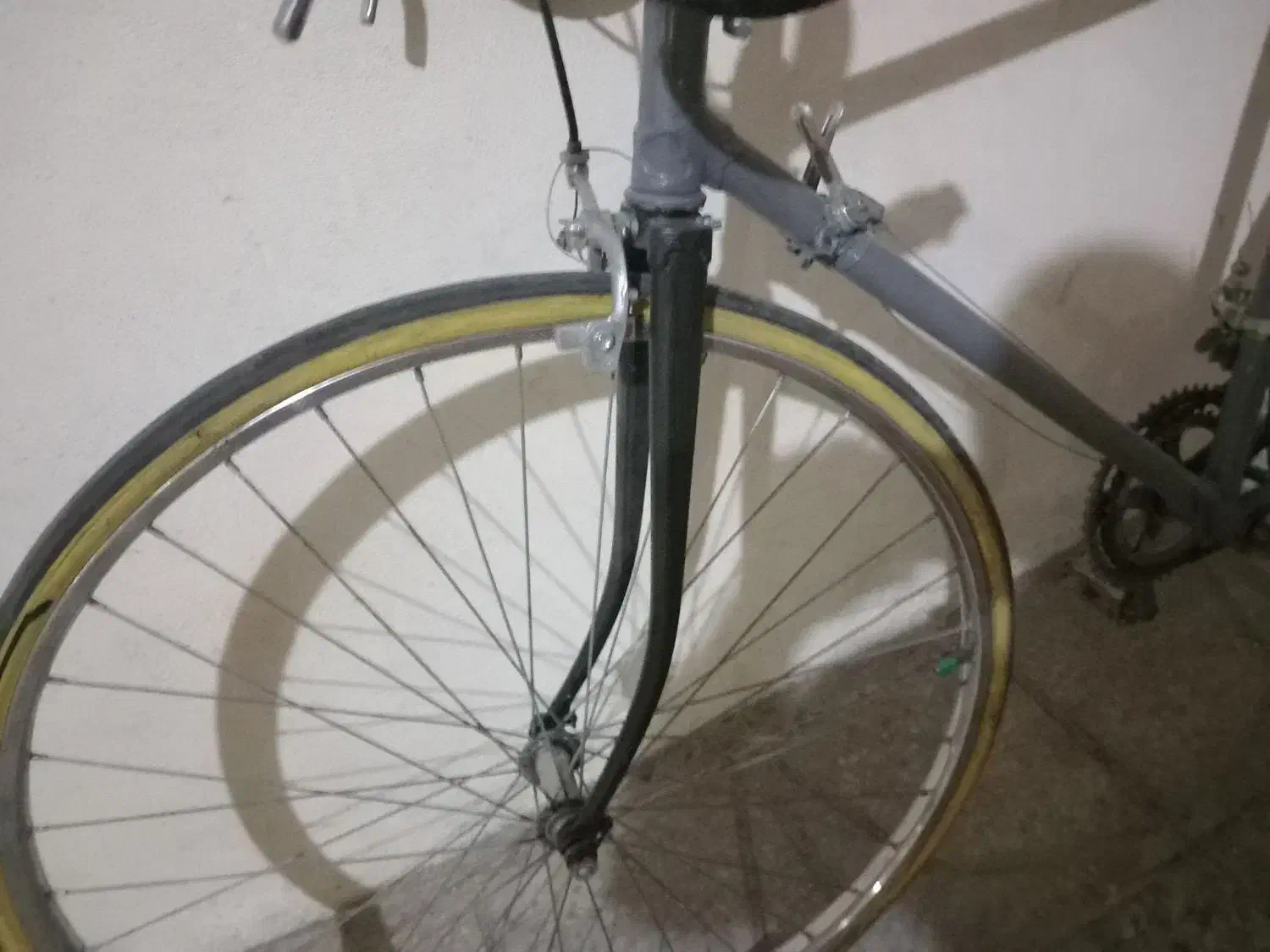 دوچرخه کورسی|دوچرخه، اسکیت، اسکوتر|شیراز, جانبازان|دیوار