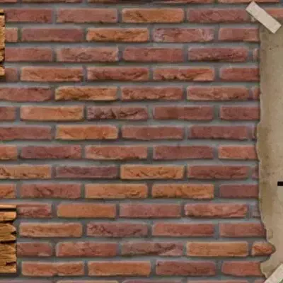 گمشده|فعالیت داوطلبانه|نورآباد ممسنی, |دیوار