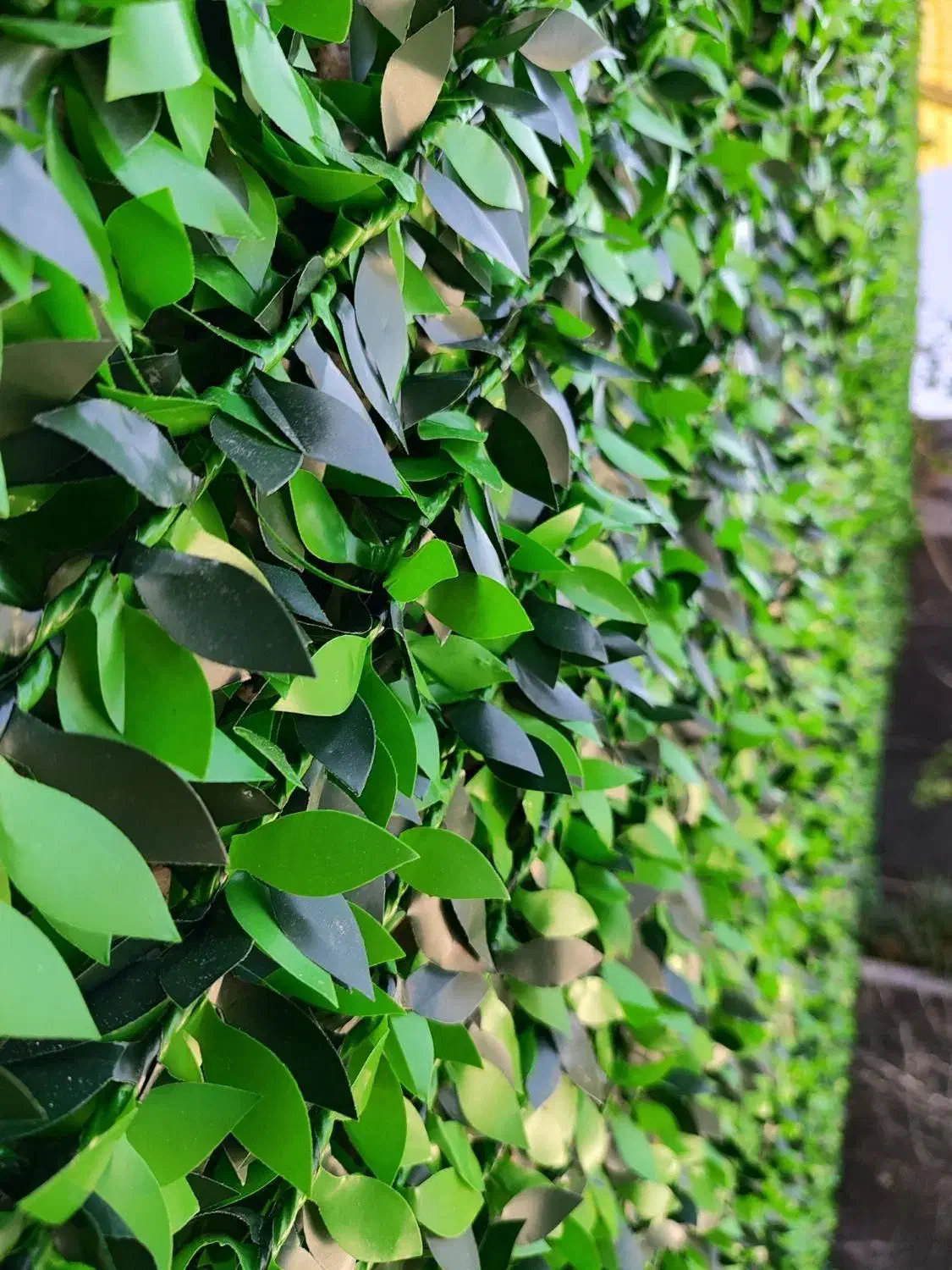 فنس برگ ریحونی،فنس چمنی دوبافت|مصالح و تجهیزات ساختمان|بوشهر, |دیوار