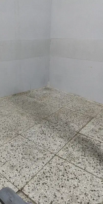 مغازه|اجارهٔ مغازه و غرفه|نیشابور, میدون بار|دیوار