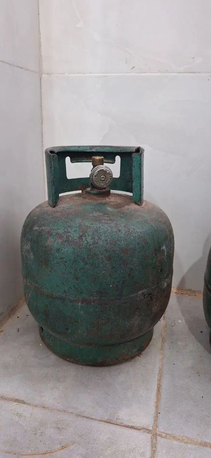 پیکنیک|اجاق گاز و لوازم برقی پخت‌وپز|زاهدان, |دیوار