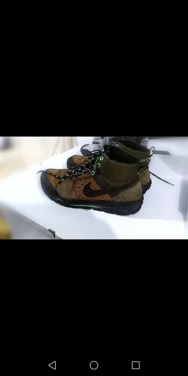 کفش اورجینال|کیف، کفش، کمربند|مشهد, سید رضی|دیوار