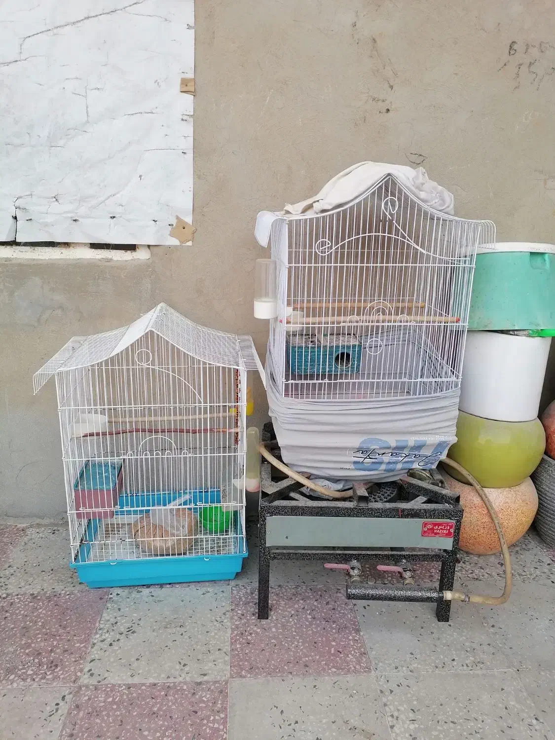 قفس پرنده|لوازم جانبی حیوانات|بندر دیر, |دیوار
