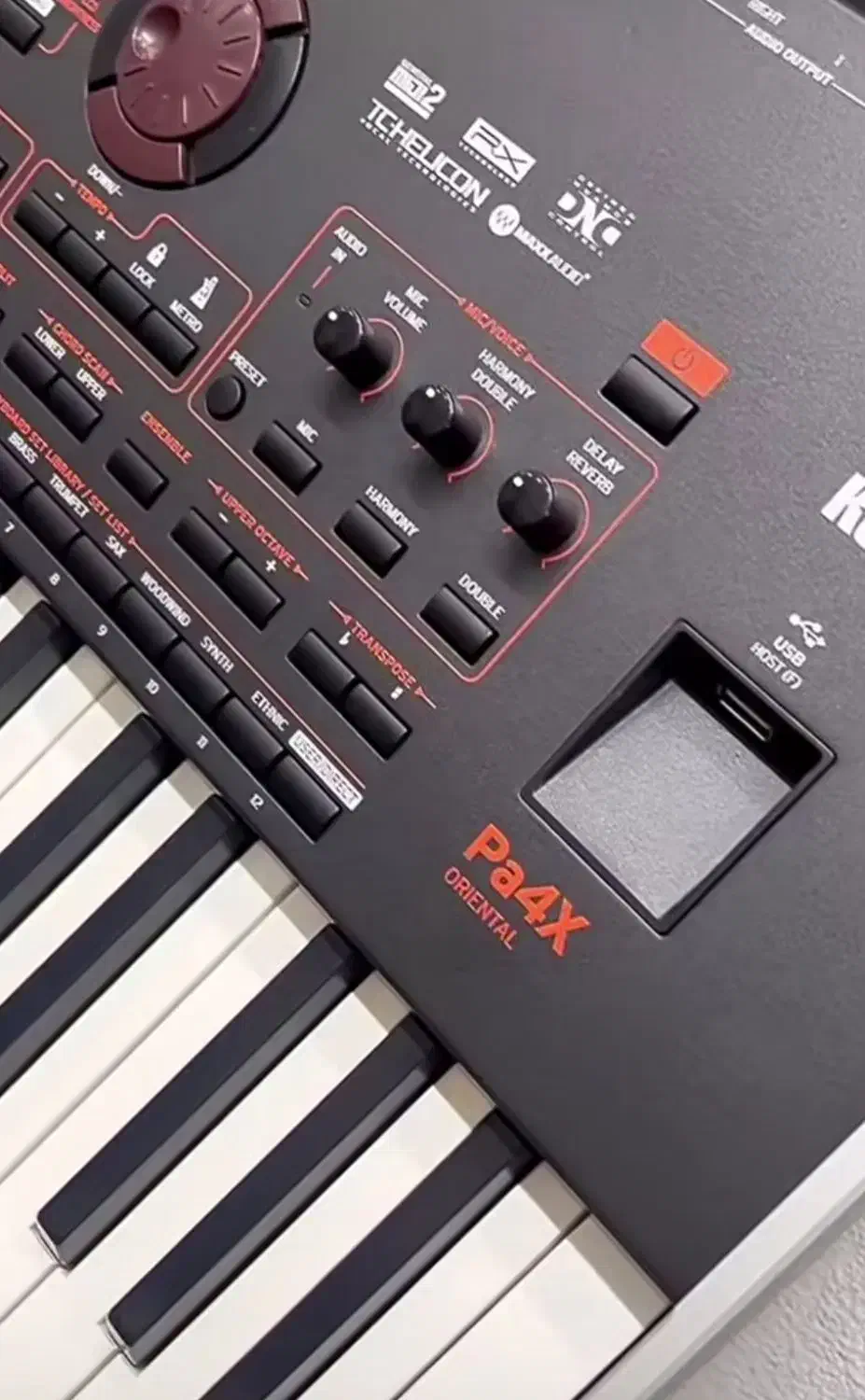 ارگ pa4xاورینتال|پیانو، کیبورد، آکاردئون|درگزین, |دیوار