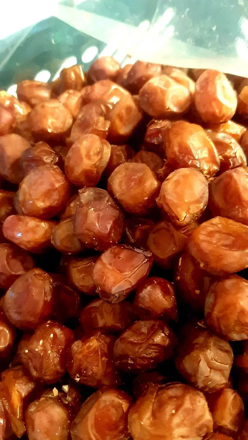 خرمای خاصویی بسیار مرغوب|خوردنی و آشامیدنی|شیراز, باغ تخت|دیوار