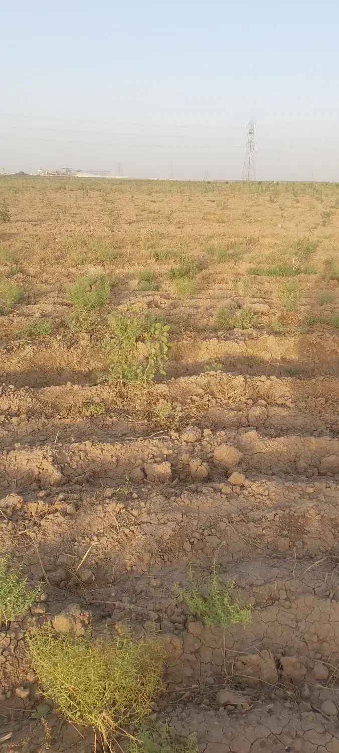 باغ پسته|فروش زمین و ملک کلنگی|بوئین زهرا, |دیوار