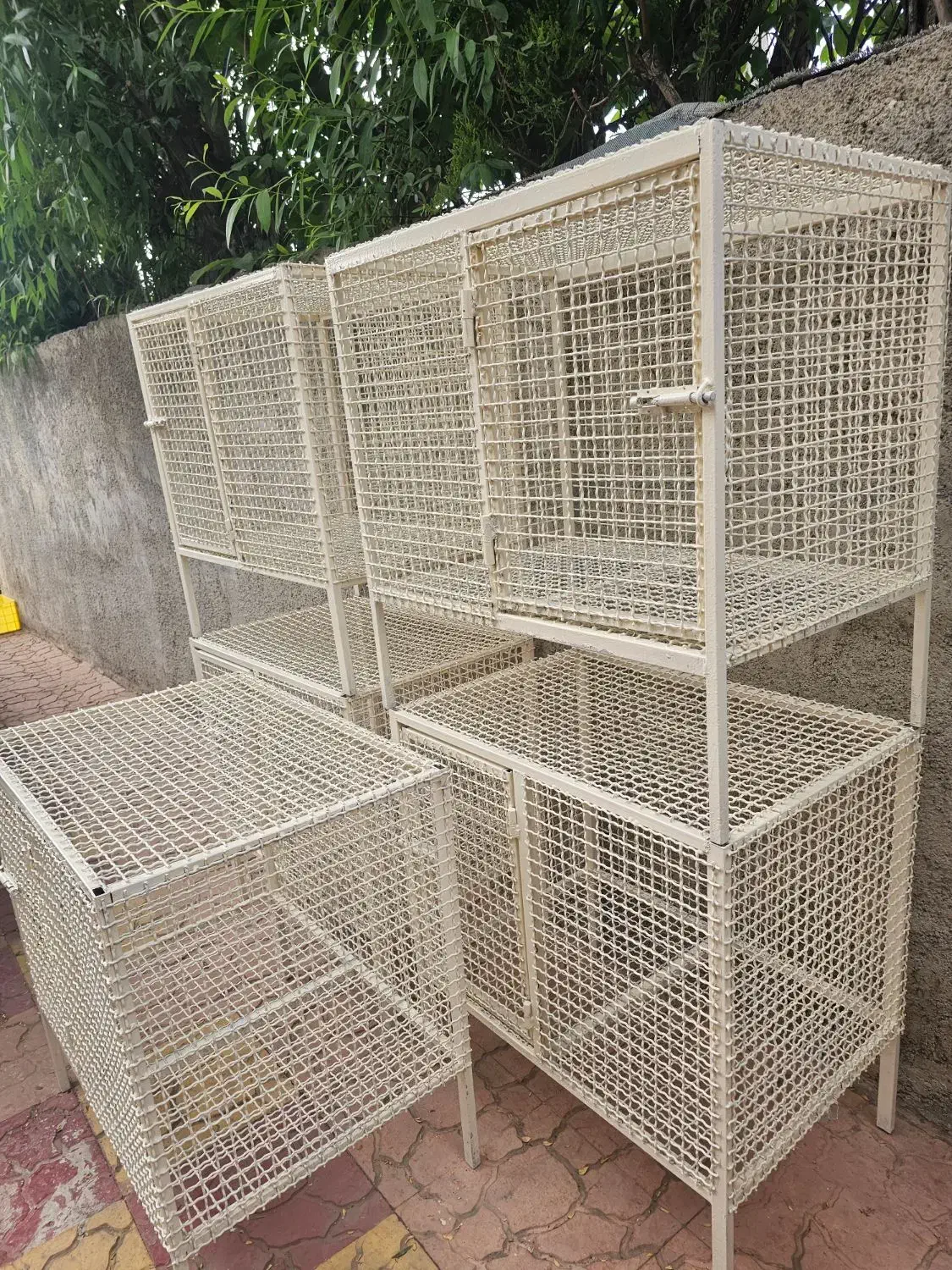 قفس سگ و گربه و پرنده|لوازم جانبی حیوانات|تهران, تهرانسر غربی|دیوار