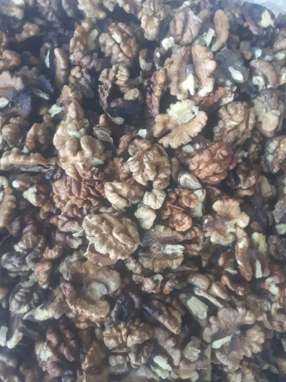 گردو تویسرکان|خوردنی و آشامیدنی|تهران, فرزانه|دیوار