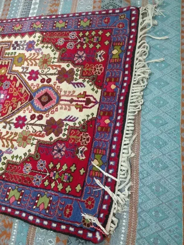 قالی دست بافت|فرش|سنندج, |دیوار